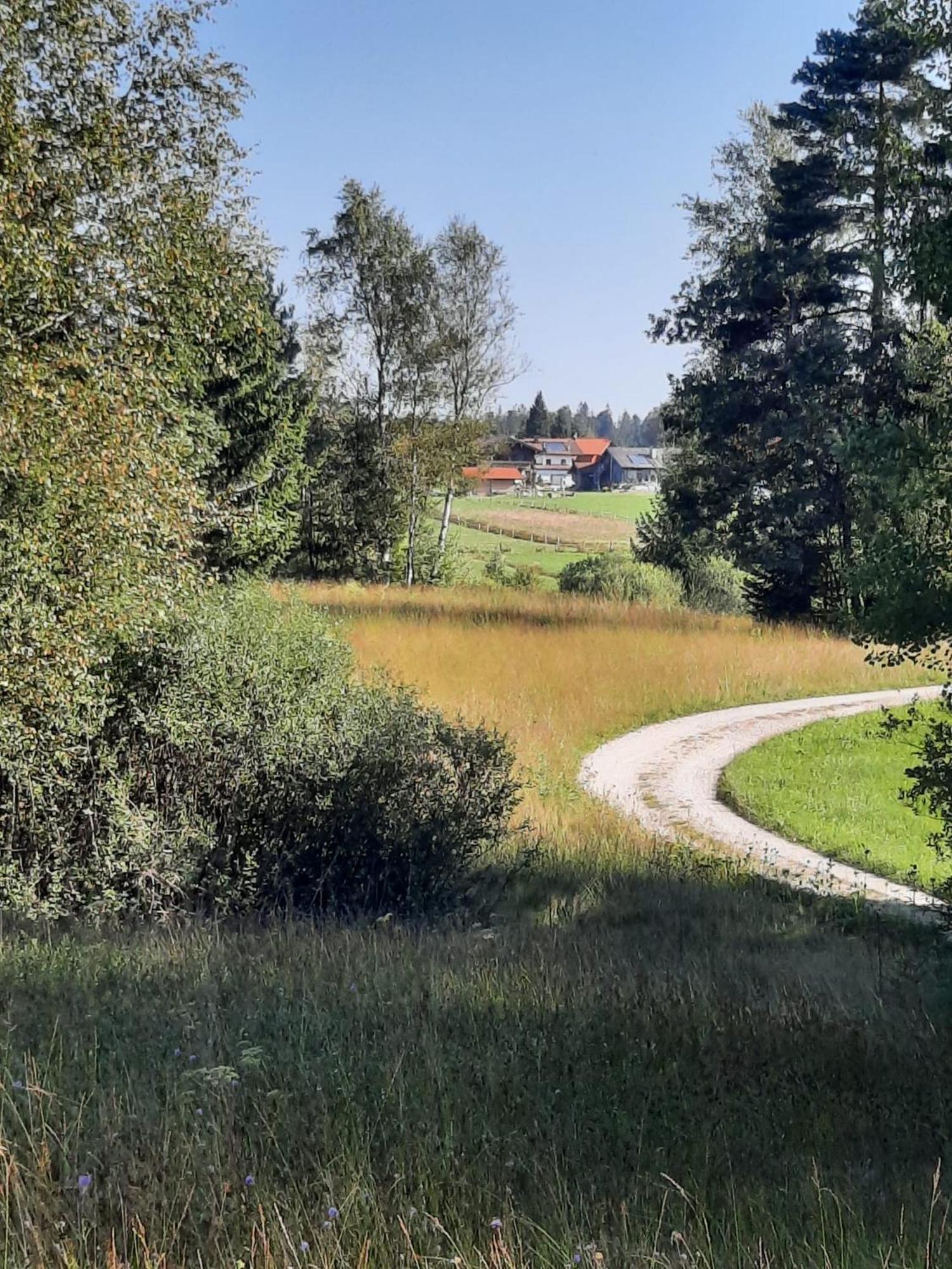 Ferienwohnung Am Wirtshof Siegsdorf Bagian luar foto