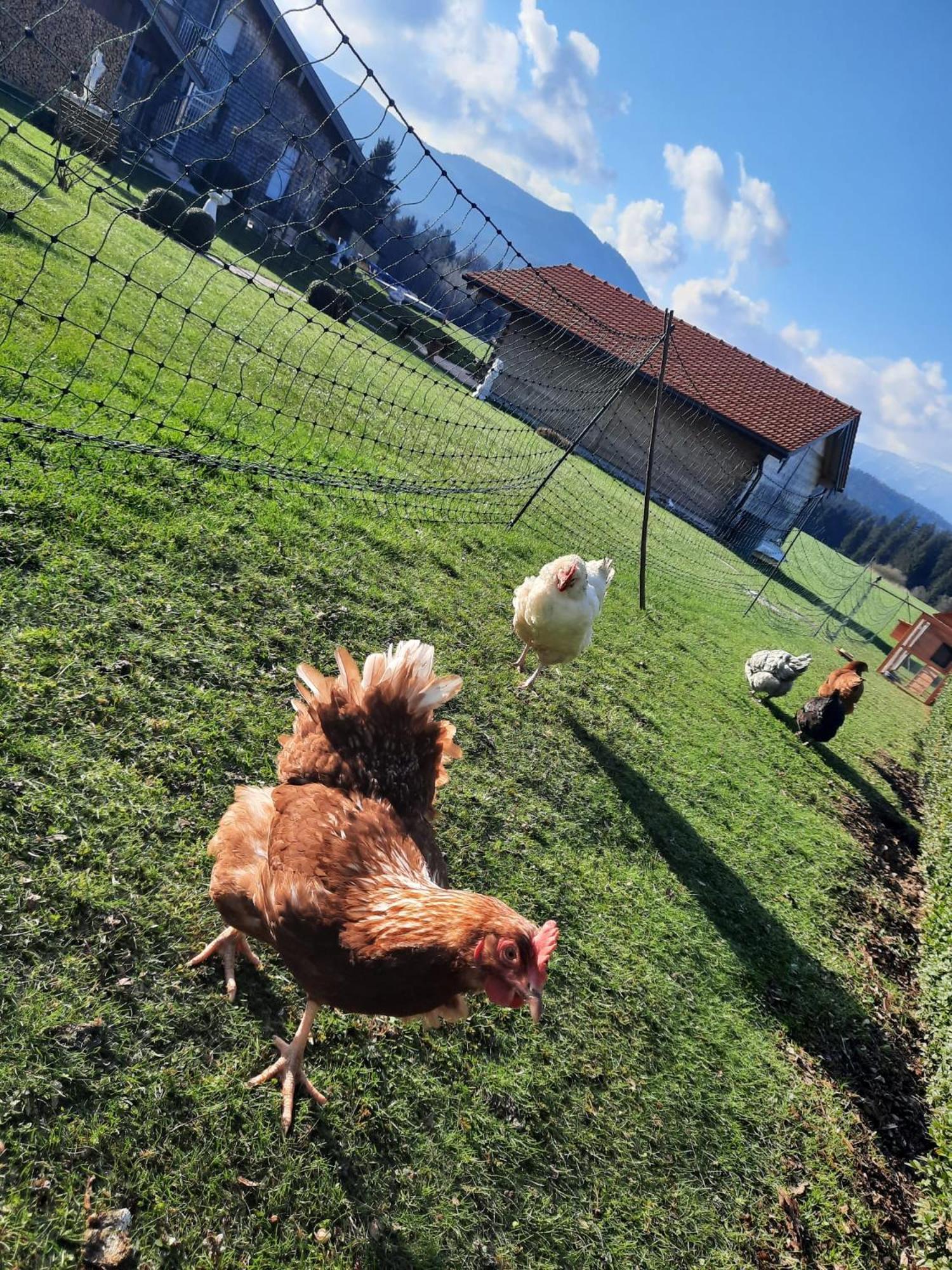 Ferienwohnung Am Wirtshof Siegsdorf Bagian luar foto