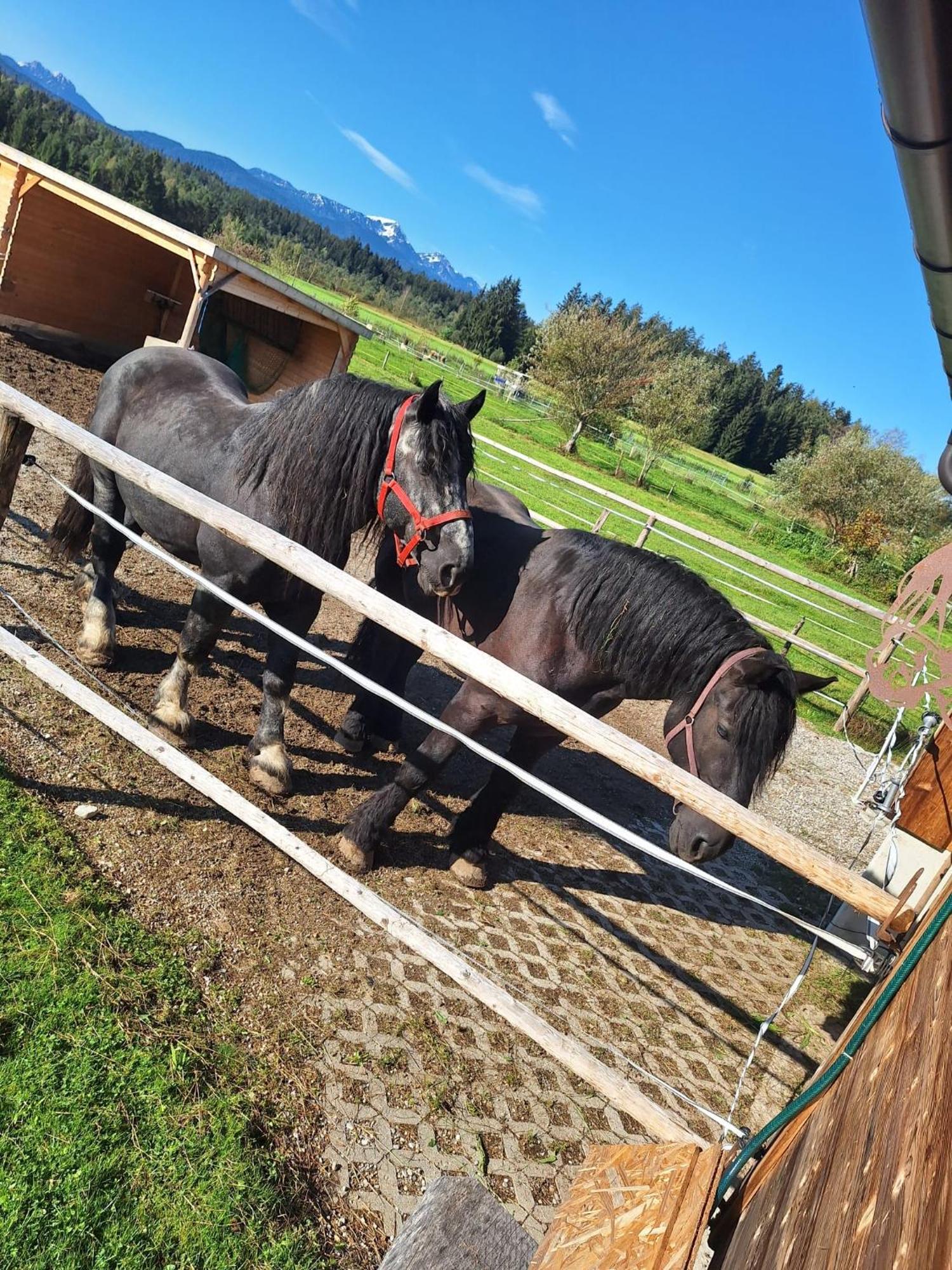 Ferienwohnung Am Wirtshof Siegsdorf Bagian luar foto